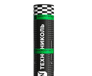 Бикроэласт